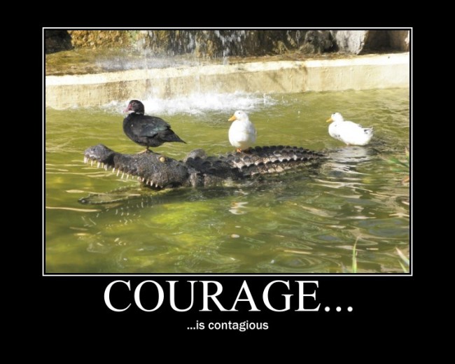 Courage_is_contagious